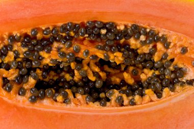 Papaya dilim (Carica papaya)