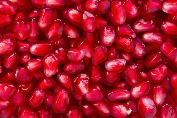 Pomegranate Seeds (Punica granatum) — Stock Photo, Image