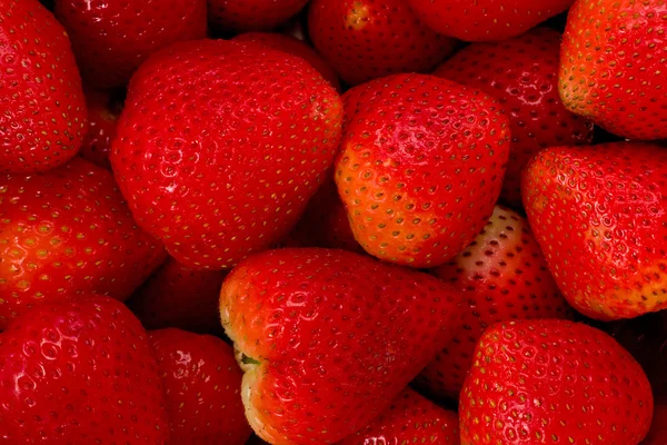 Strawberries (Fragaria ananassa) — Stock Photo, Image