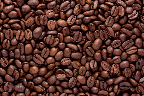 Органо кави в зернах — стокове фото