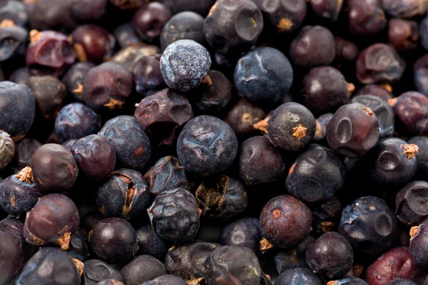 Dried Juniper Berries — Stock Photo, Image