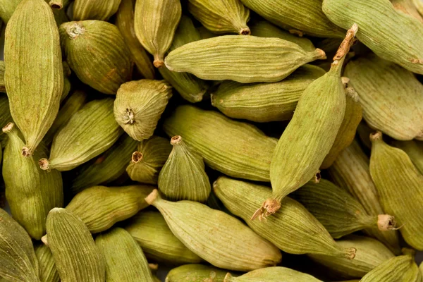 Green Cardamom (Elettaria cardamomum) — Stock Photo, Image