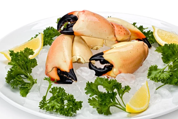 stock image Stone Crab Claws (menippe mercenaria)