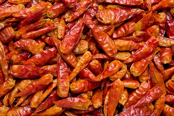 Sušené chilis — Stock fotografie