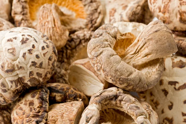 Dried Shitake Mushrooms (Lentinula edodes) — Stock Photo, Image