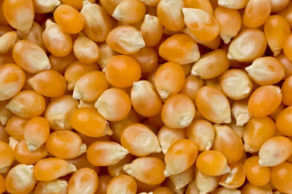 Palomitas de maíz — Foto de Stock