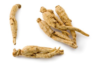 Beyaz Ginseng (Panax ginseng)