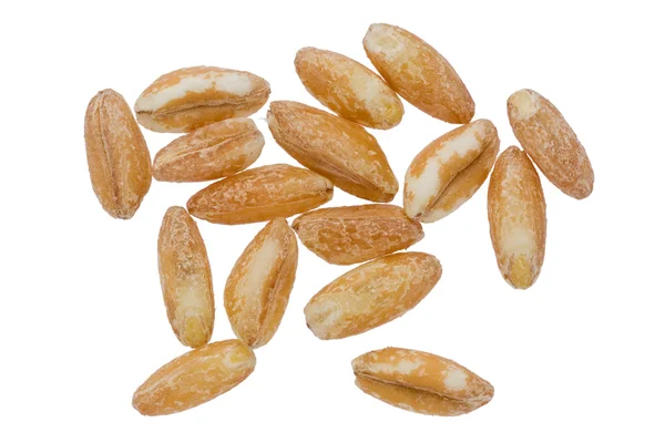 ファロの穀物 — ストック写真