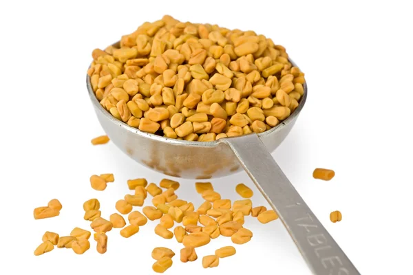 Fenugreek Seeds in Spoon — Stock Photo, Image