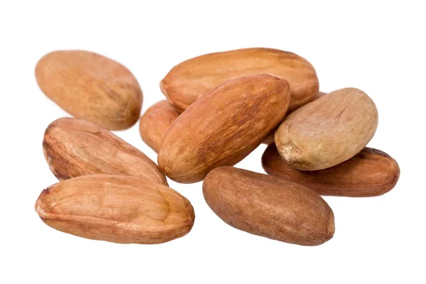 stock image Raw Cacao Beans (Theobroma cacao)