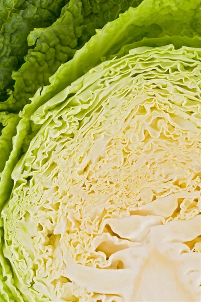 Sliced Cabbage (Brassica oleracea) — Stock Photo, Image