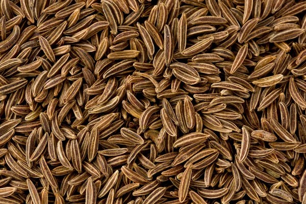 Caraway Seeds (carum carvi) — Stock Photo, Image