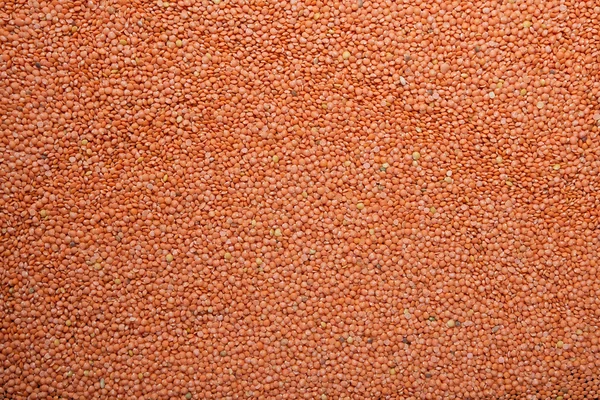 Lentilhas vermelhas (lente culinaris ) — Fotografia de Stock