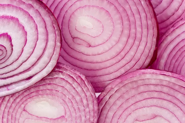 Red Onion Stock Image