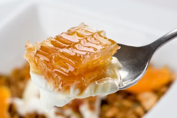 Yogurt with Honeycomb — Stock Photo, Image