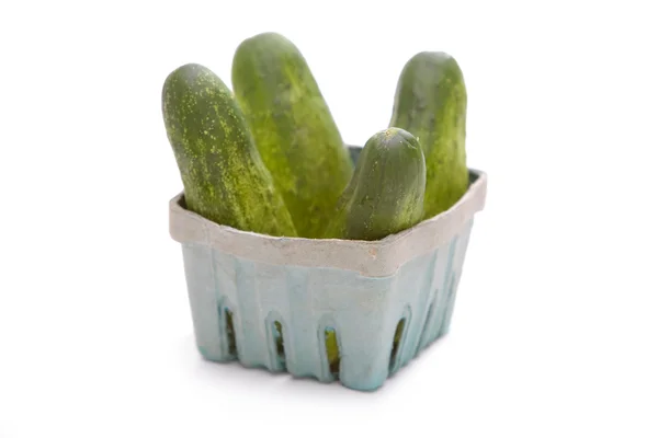 stock image Cucumbers