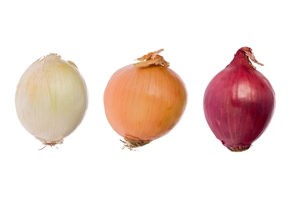 Three Onions (Allium cepa) — Stock Photo, Image