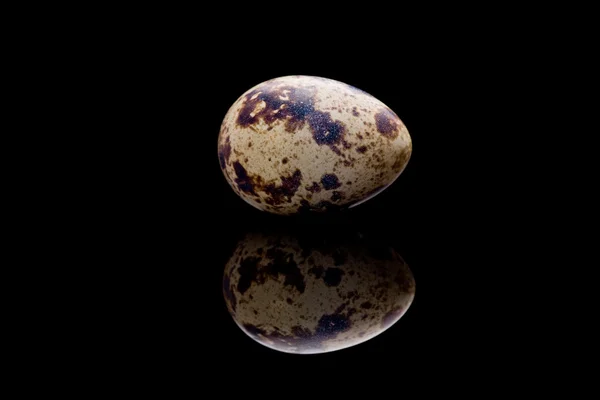 Ou de prepeliță — Fotografie, imagine de stoc