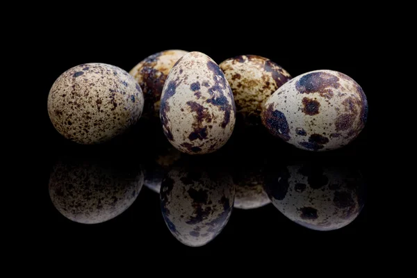 Telur puyuh — Stok Foto