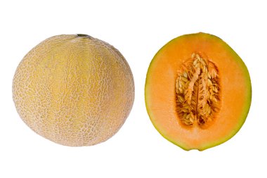 Cantelope (Cucumis melo) clipart