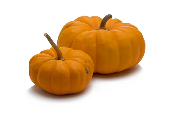 Stock image Pumpkins