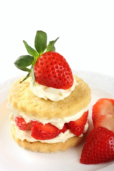 Aardbei shortcake — Stockfoto