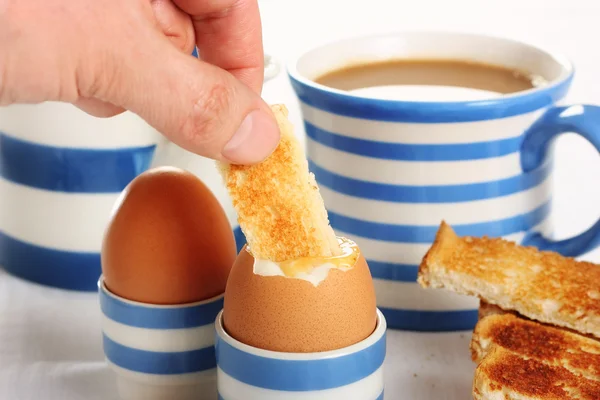 Toast in ein gekochtes Ei tauchen Stockbild
