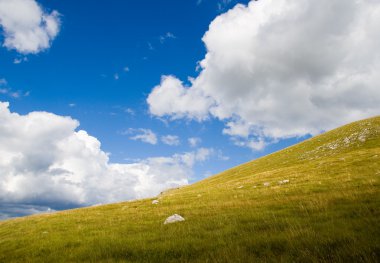 bulutlu gökyüzü ile yeşil tepe