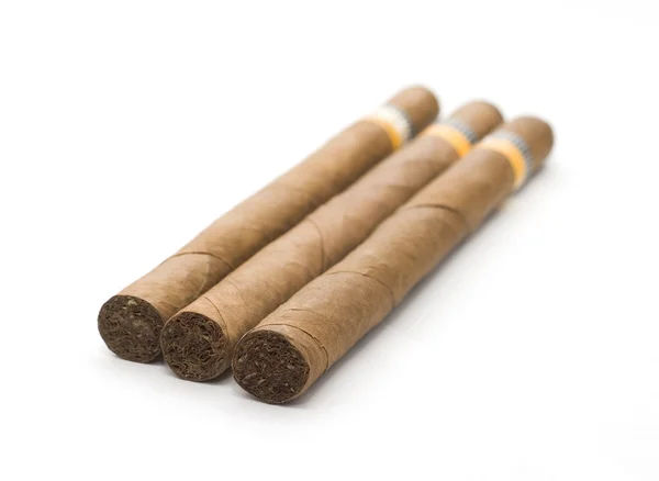 Tytoń kubański — Zdjęcie stockowe
