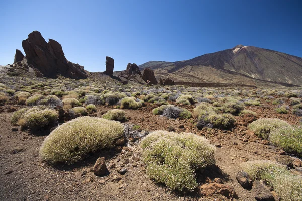 stock image Teide volcano landscape