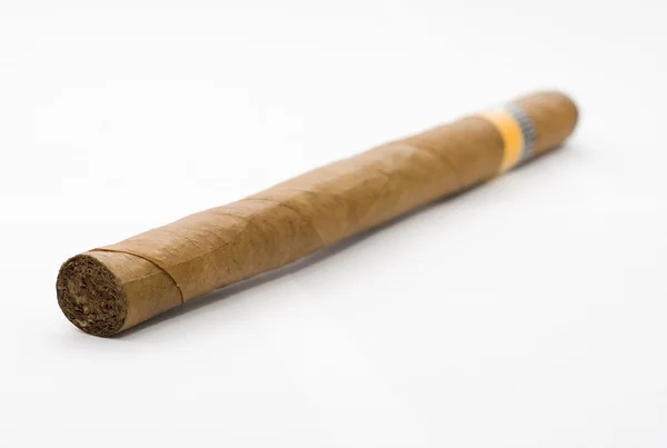 Tabac cubain — Photo