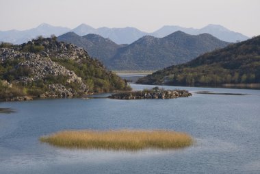 Skadar lake with mountains, in Montenegro clipart