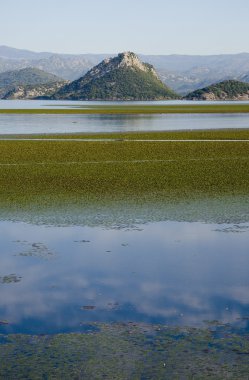 Skadar lake with hills in the background, in Virpazar, Montenegro clipart