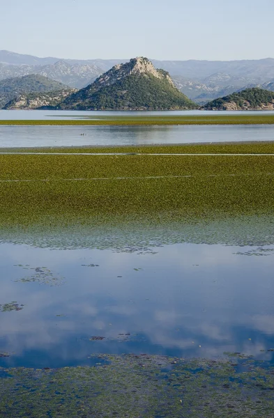 Lago Skadar com colinas em segundo plano, em Virpazar, Montenegro — Fotografia de Stock