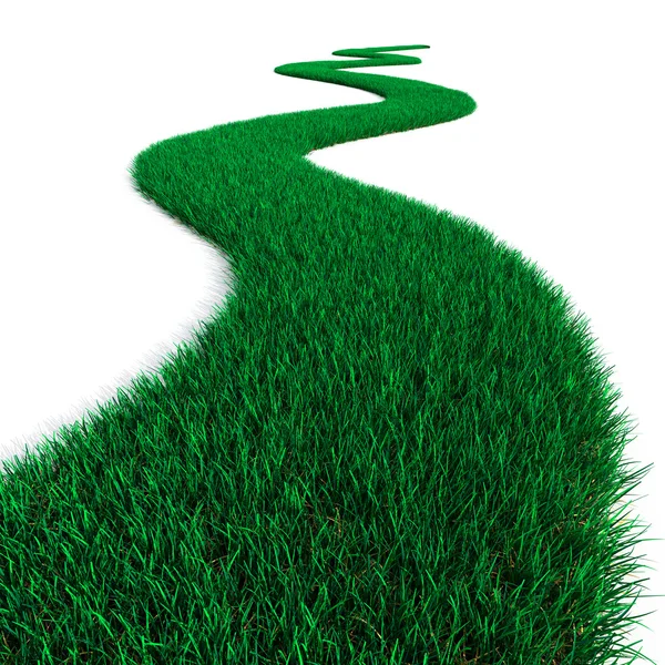 Green Grass path — Stock Photo, Image