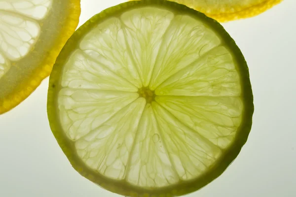 Uma fatia de limão no fundo branco — Fotografia de Stock