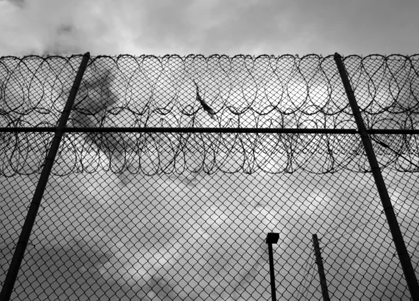 Erősített szúród huzal börtönben kerítés — Stock Fotó