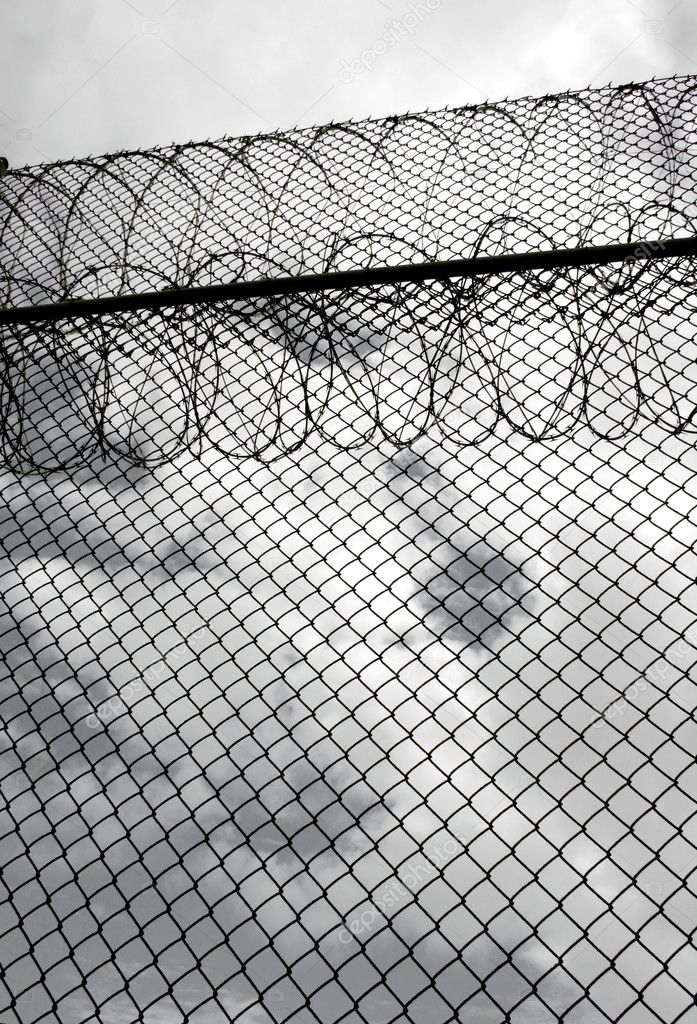 Prison Fence Wire Prison Fence Wire