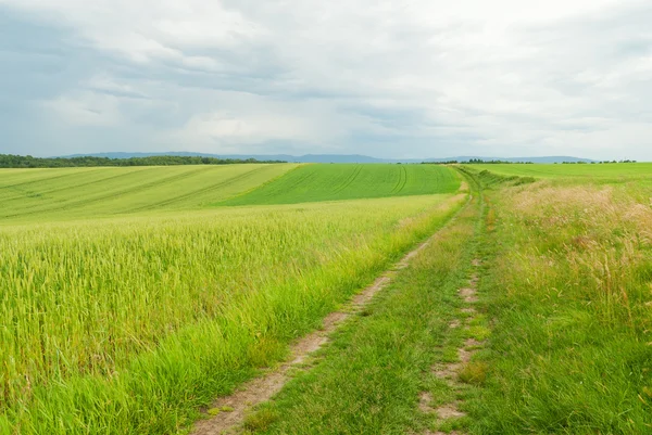 Αγροτικό τοπίο της Πολωνίας. Εικόνα Αρχείου