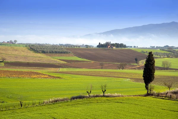 Tierras de cultivo en Toscana con la construcción y archivos — Foto de Stock