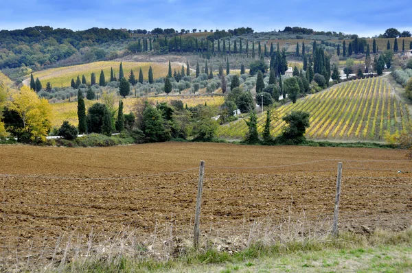 Toscana landskap med fält och kullar — Stockfoto