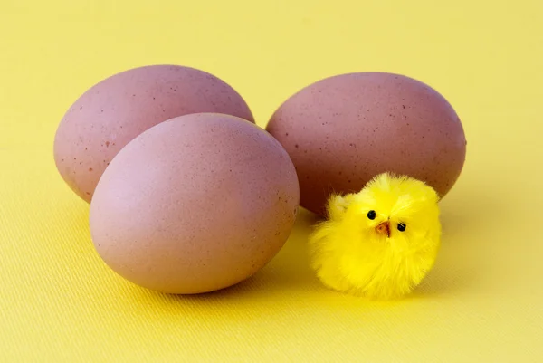 Eggs and chick — Stock Photo, Image