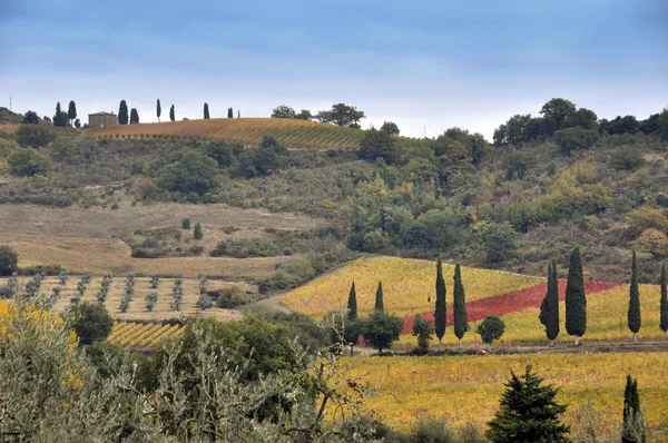 Tuscany landscape with fields and hills — Stock Photo, Image