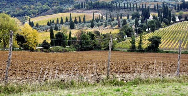 Toscana landskap med åkrar och träd — Stockfoto