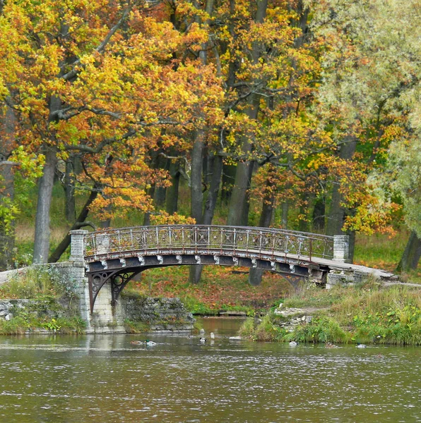 stock image Gatchina