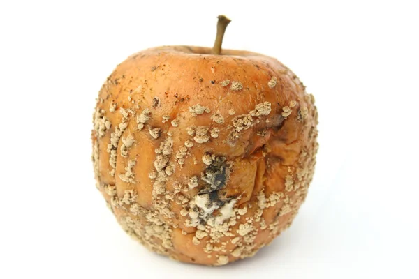 かびの生えたリンゴ — ストック写真