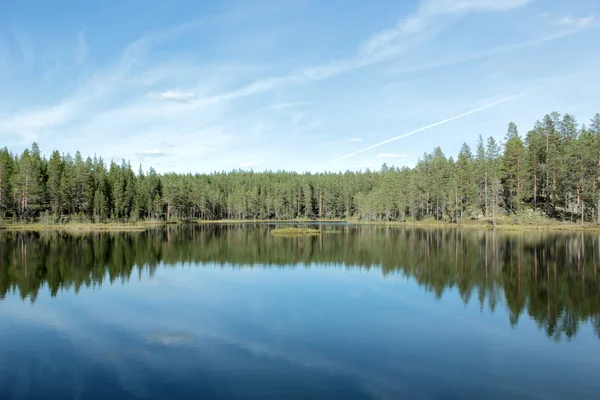 stock image Forest Lake