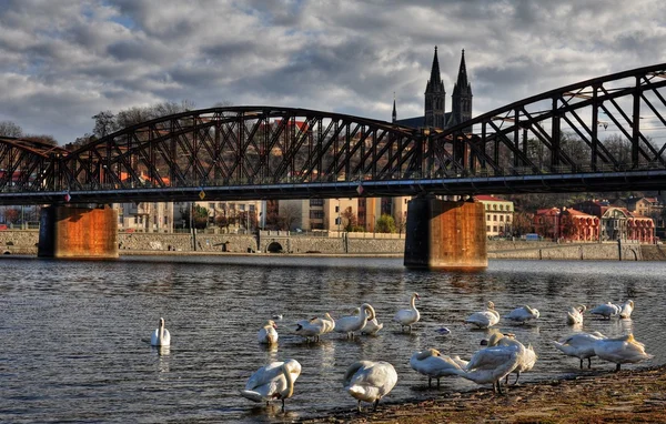 PRAAG — Stockfoto