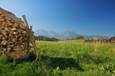 Wood and mountains clipart