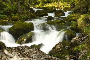 Rapids with stones clipart